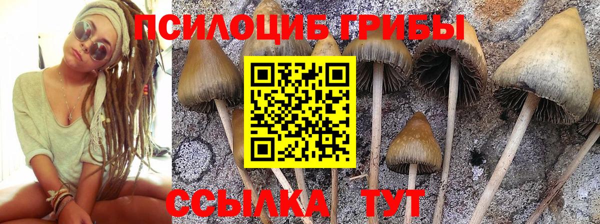 Канабис Арсеньев